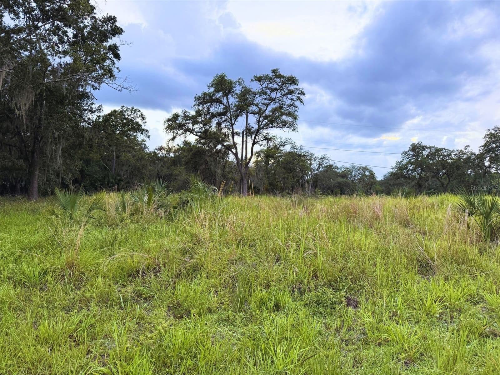 121 CENTRAL, Davenport, FL 33896