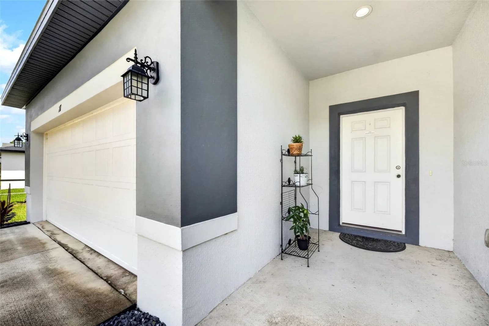 217 BEGONIA 4