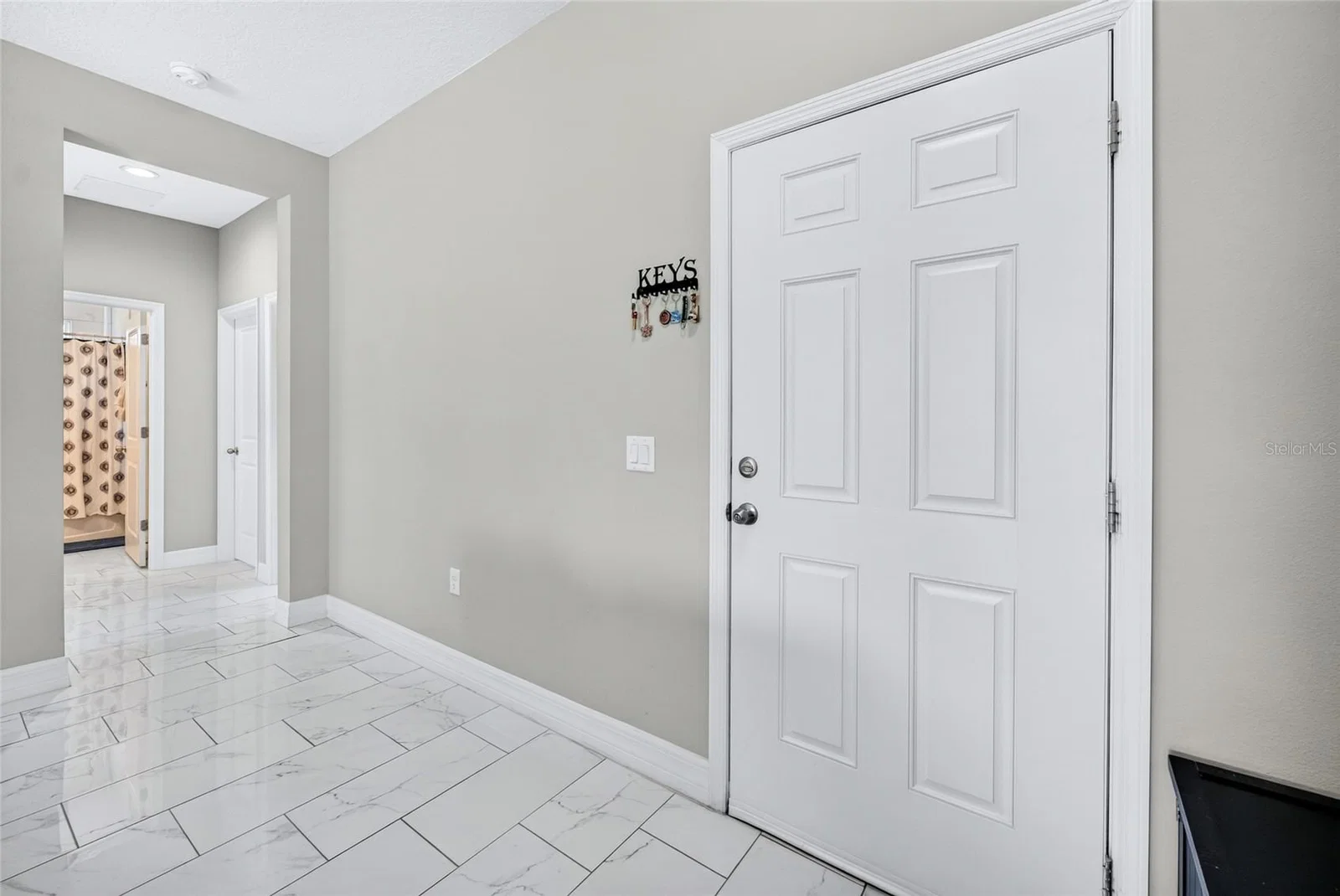 217 BEGONIA 5
