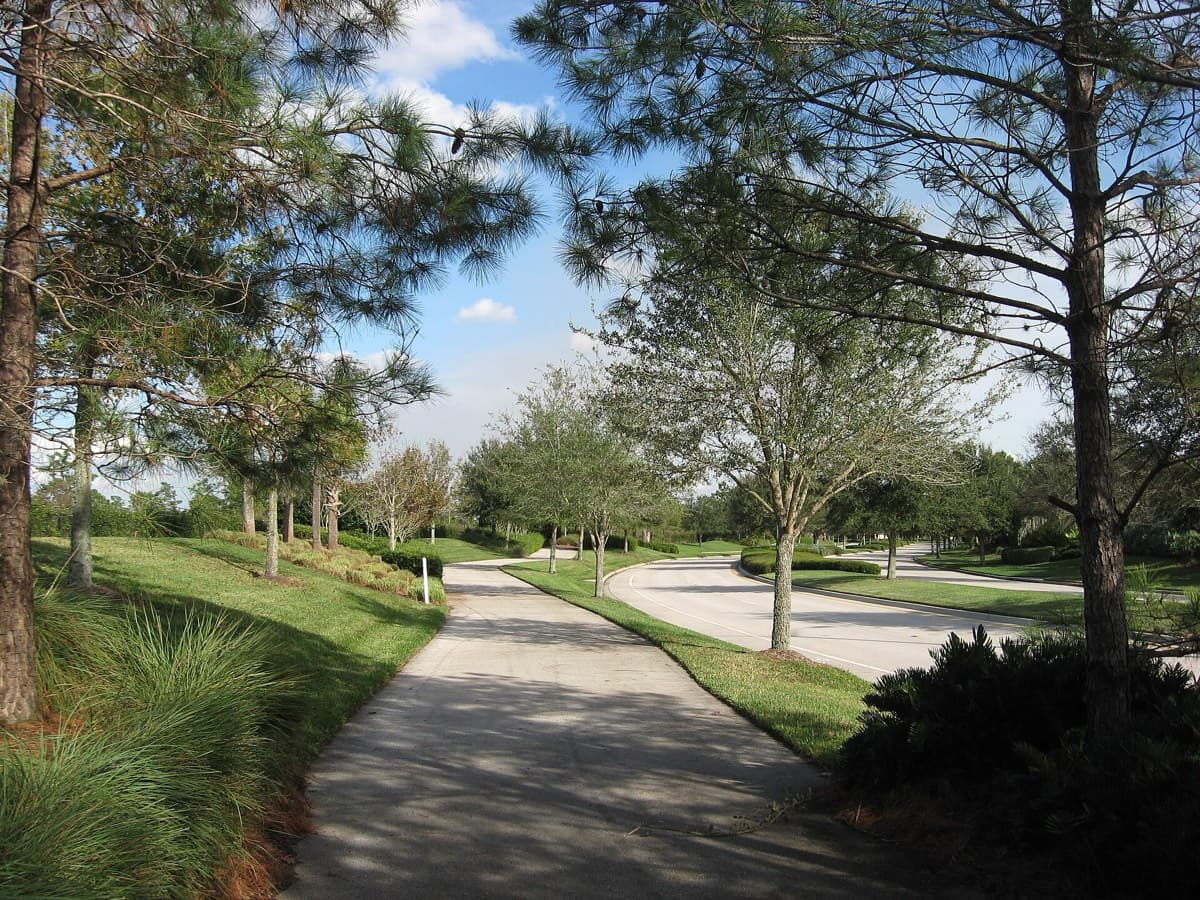 A tree-lined bike path along a curving street in Lake Nona