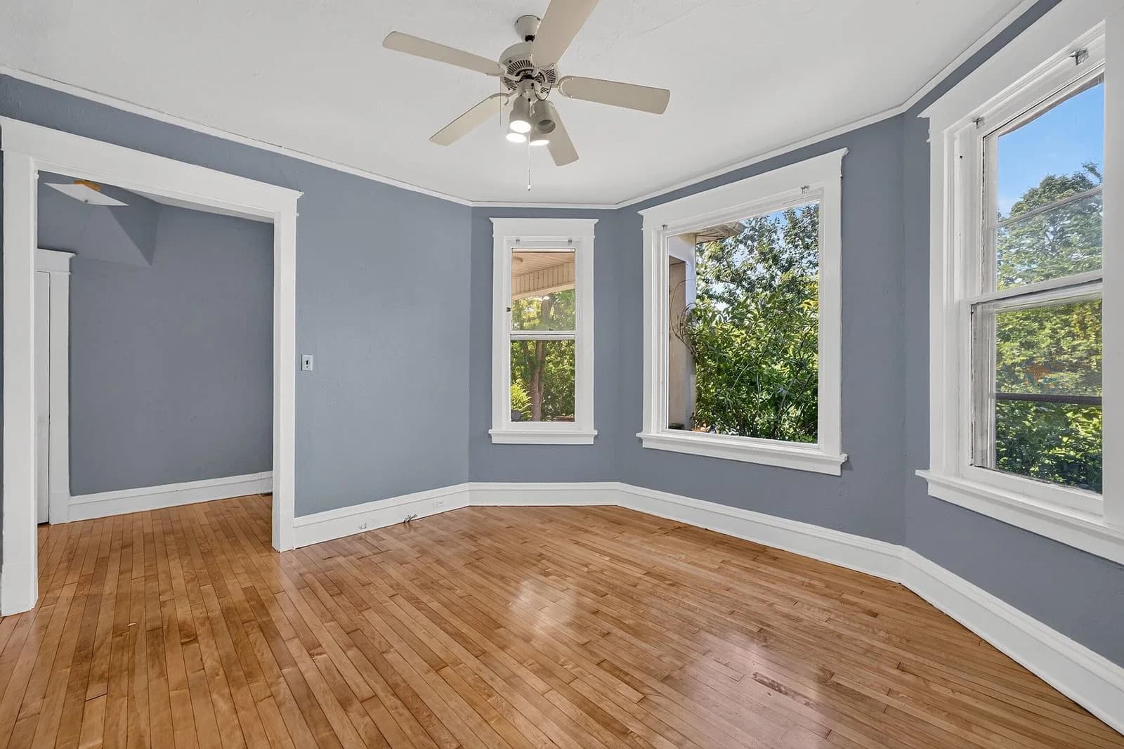3238 Cambridge 5