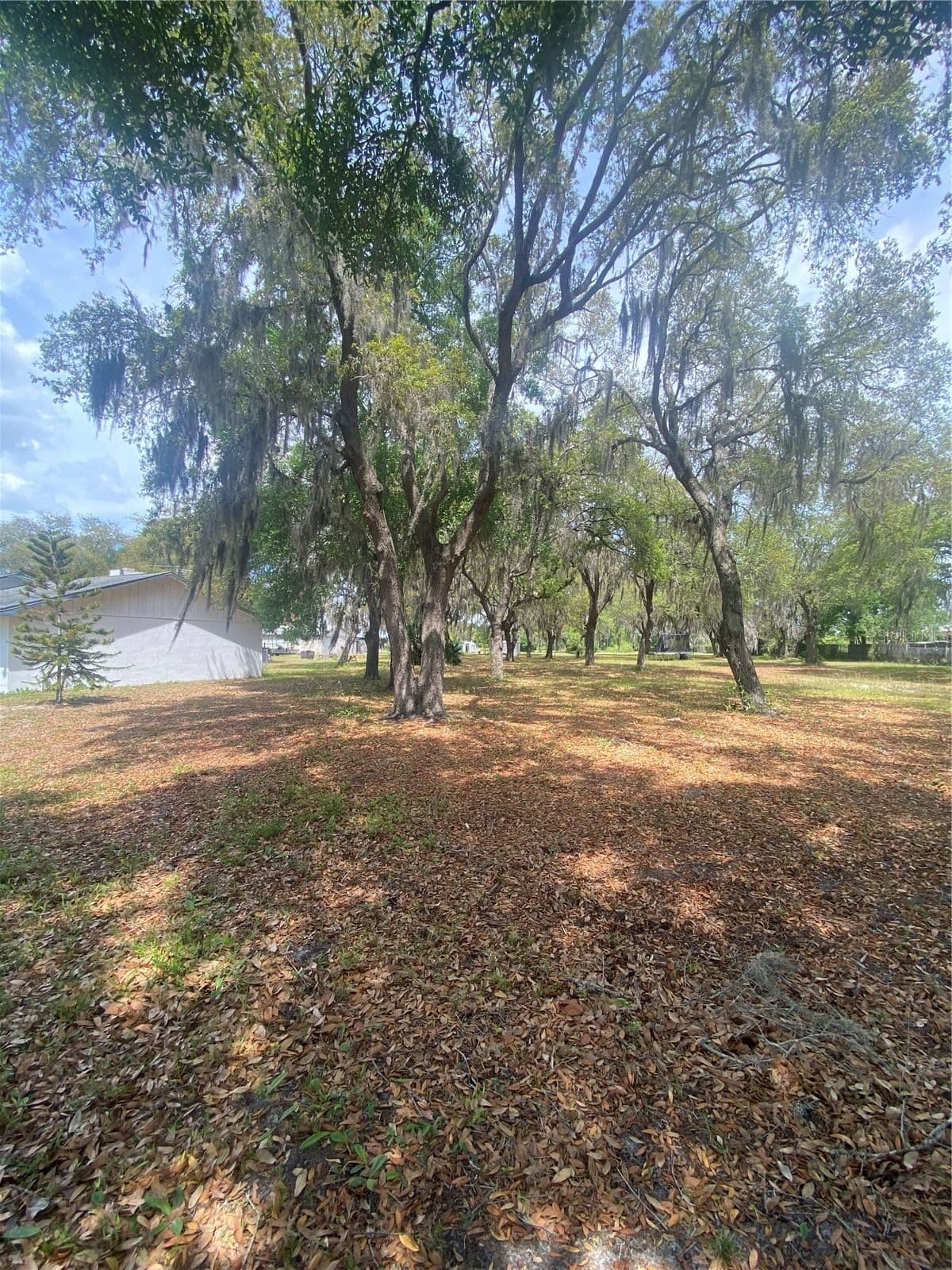4151 BOGGY CREEK Road, Kissimmee, FL 34744