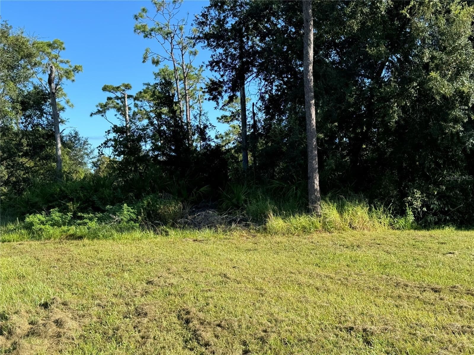 638 JAGUAR Court, Kissimmee, FL 34759 3