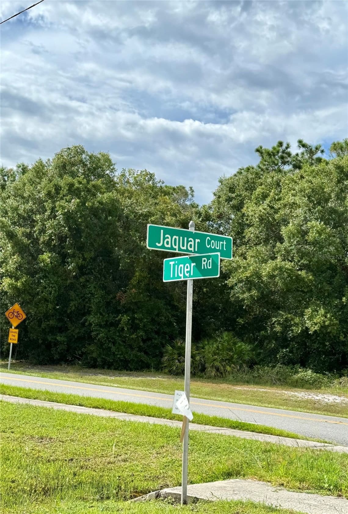 638 JAGUAR Court 4