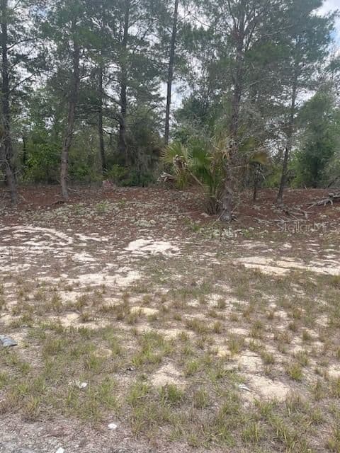 1342 HOMOSASSA 2