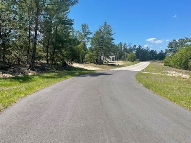 1342 HOMOSASSA 3