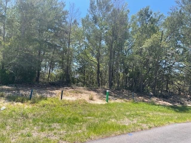 1342 HOMOSASSA 4