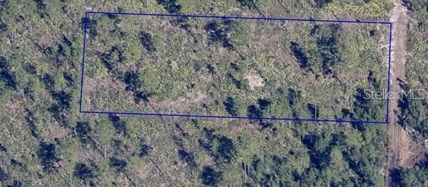 DILL, Orlando, FL 32820