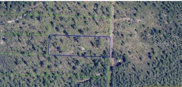 DILL, Orlando, FL 32820 2