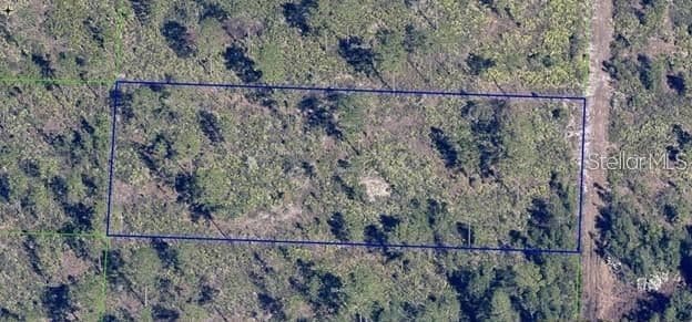 DILL, Orlando, FL 32820 3