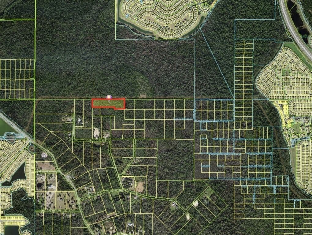 THACKER Trail 5