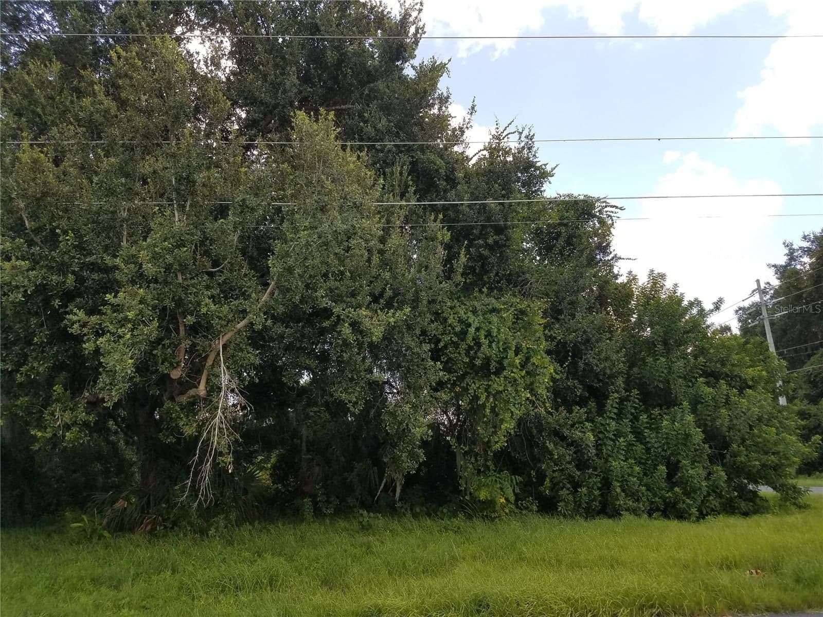 Kissimmee 5