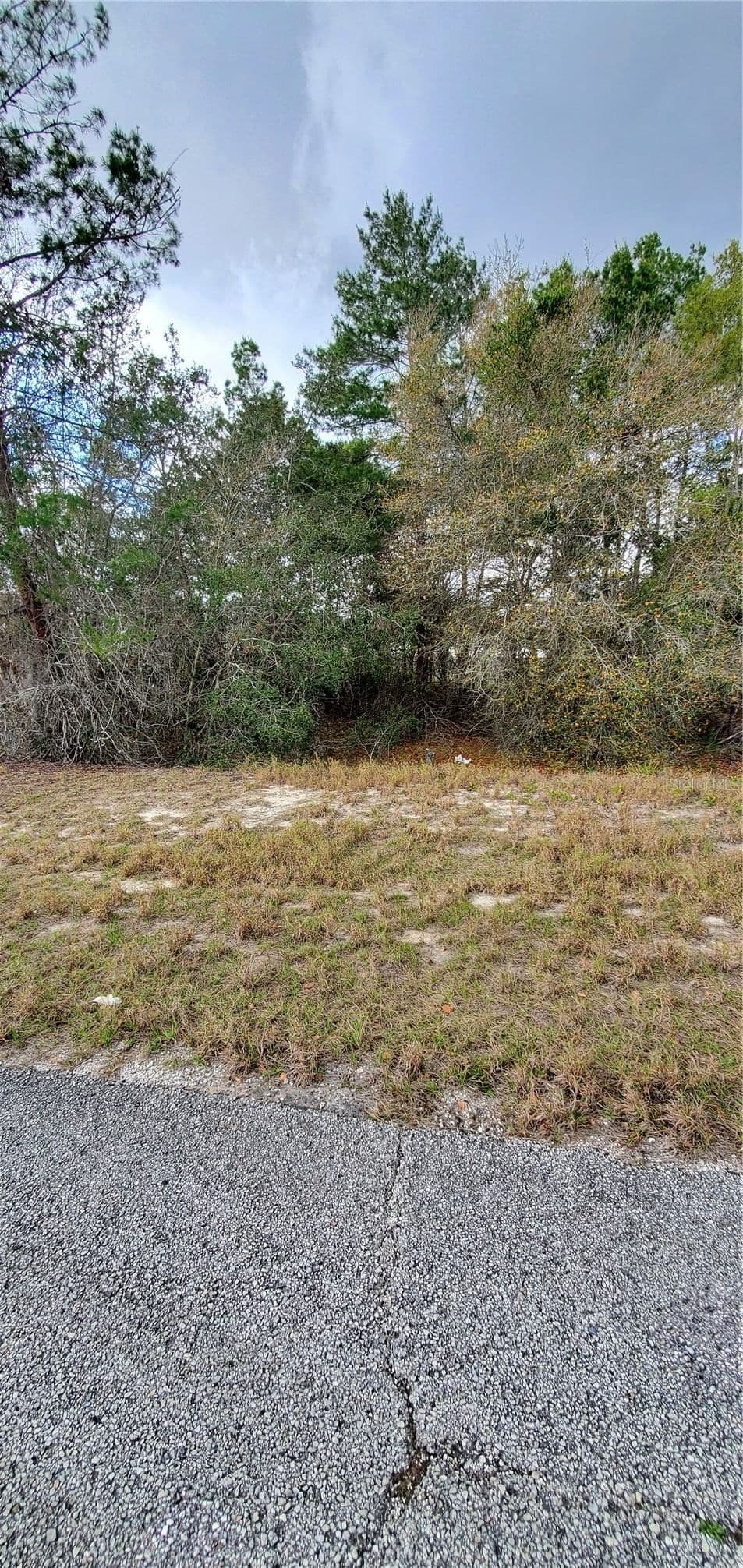 1428 HILLSBOROUGH 2