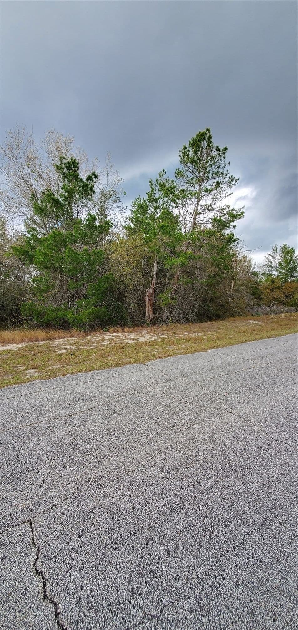 1428 HILLSBOROUGH 5
