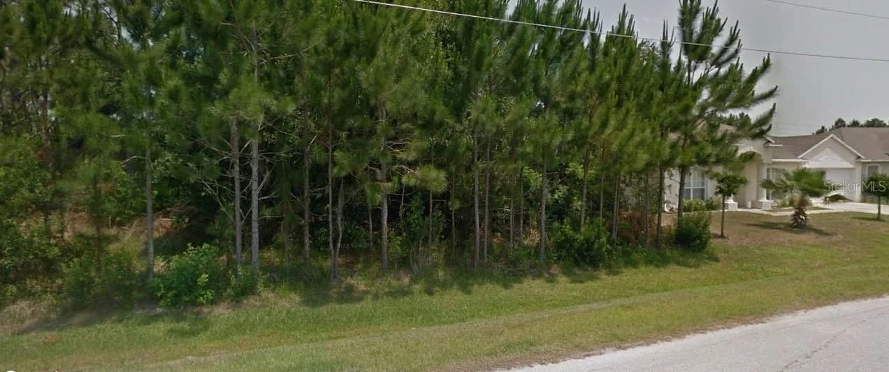 MARTIGUES Drive, Kissimmee, FL 34759