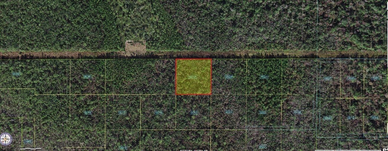ROBIN Trail, Kissimmee, FL 34747 2