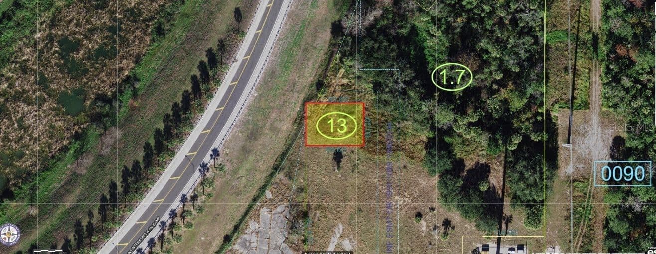 OLD LAKE WILSON Road, Kissimmee, FL 34747 2