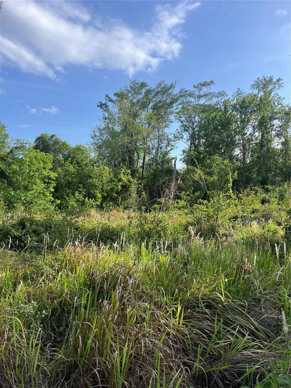 HARVEST Lane, Kissimmee, FL 34744