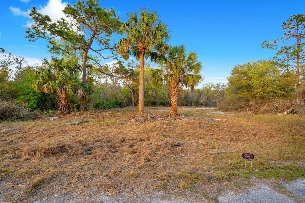 1411 SARASOTA 2