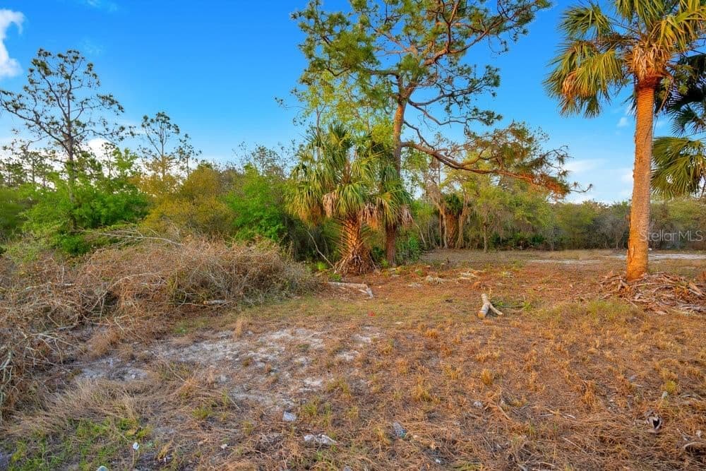 1411 SARASOTA 3