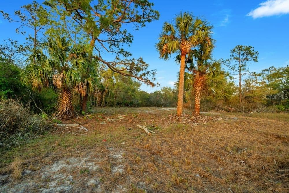 1411 SARASOTA 5