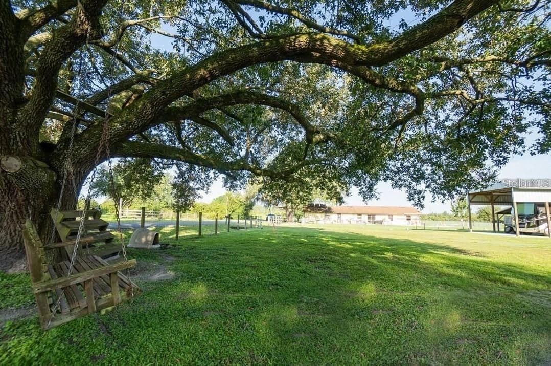 4661 ANDERSON Road, Kissimmee, FL 34746 3