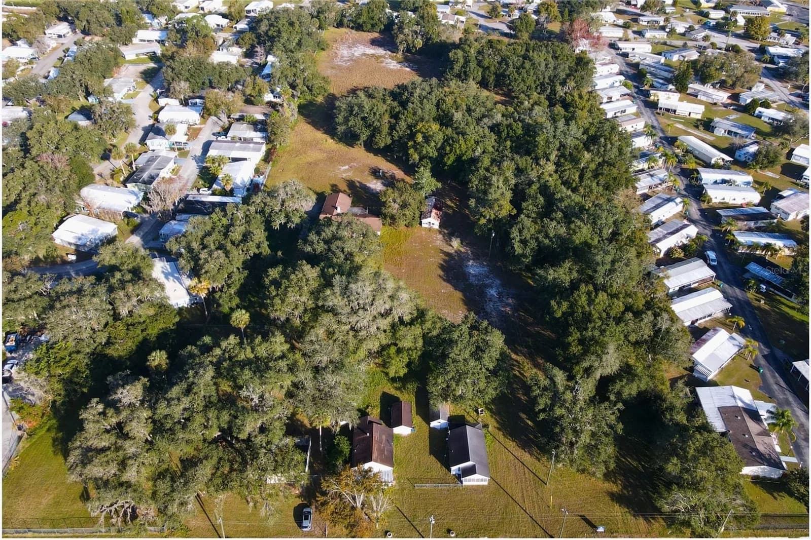 4011 ORANGE BLOSSOM 5