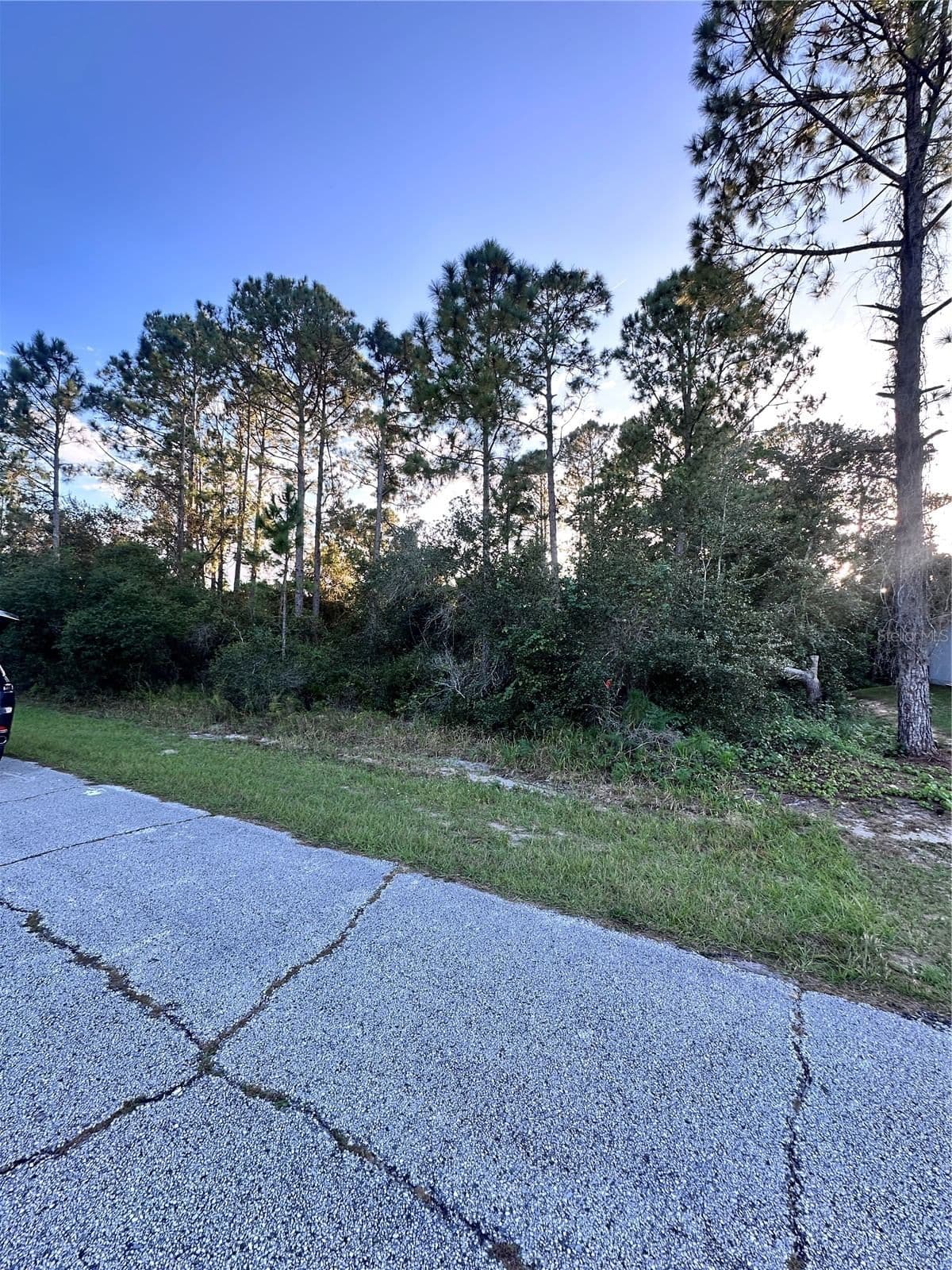1548 MEDITERRANEAN, Kissimmee, FL 34759 3