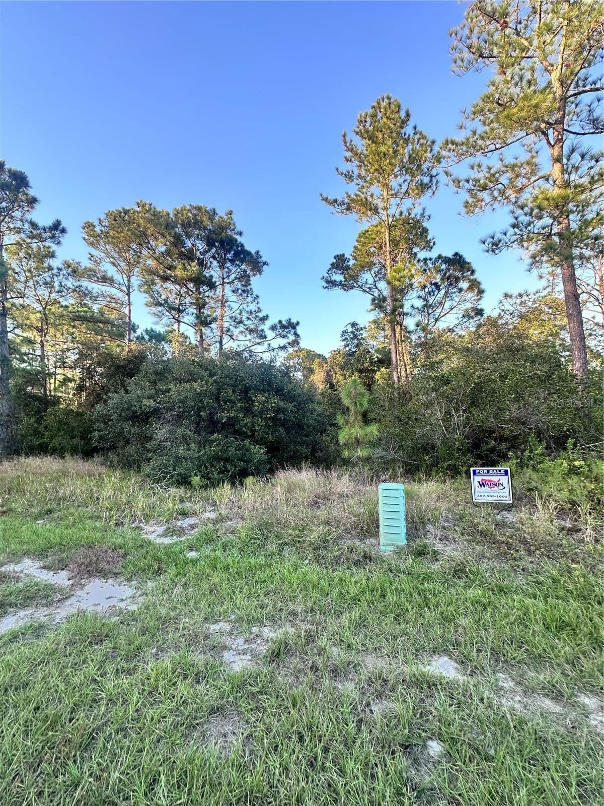 1566 MARLIN, Kissimmee, FL 34759 3