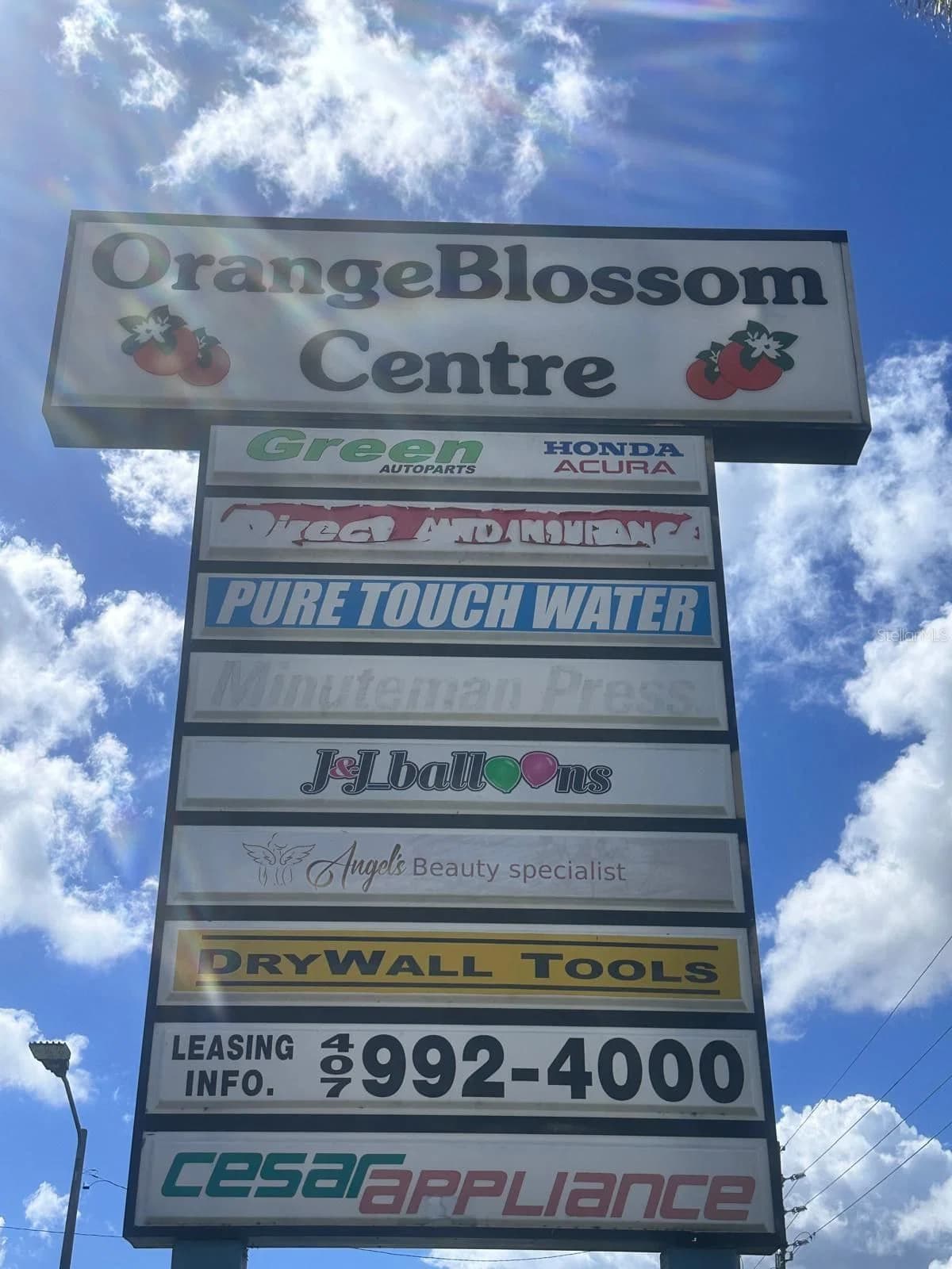 2585 ORANGE BLOSSOM 4