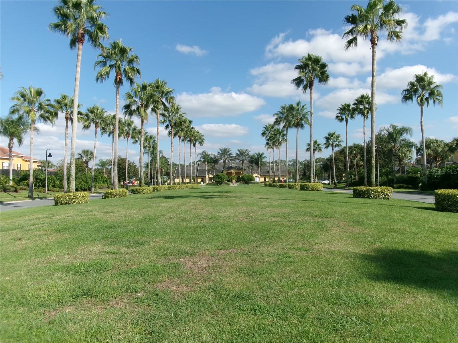 8969 MAJESTY PALM 4