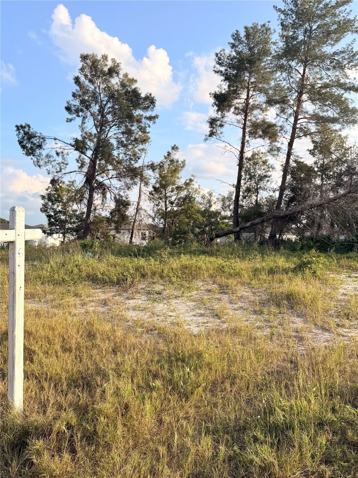 143 ZINNIA, Kissimmee, FL 34759 2