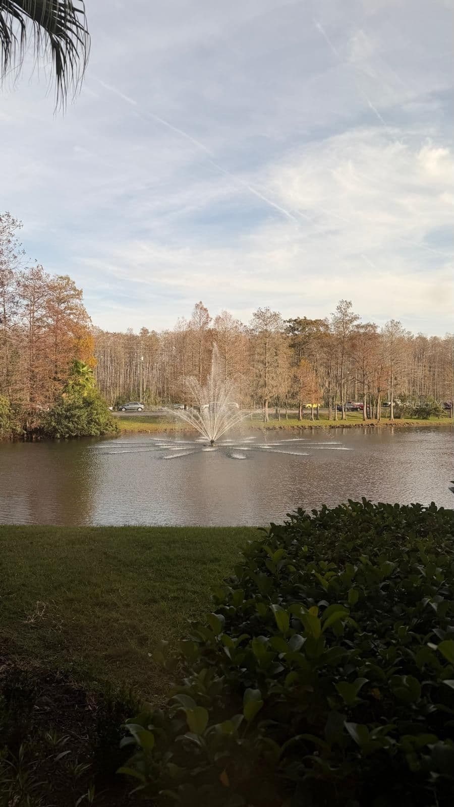 13584 TURTLE MARSH Loop #113, Orlando, FL 32837 3