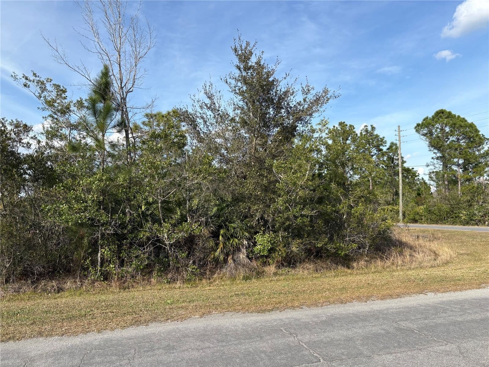ODHAM Street, Orlando, FL 32833 2