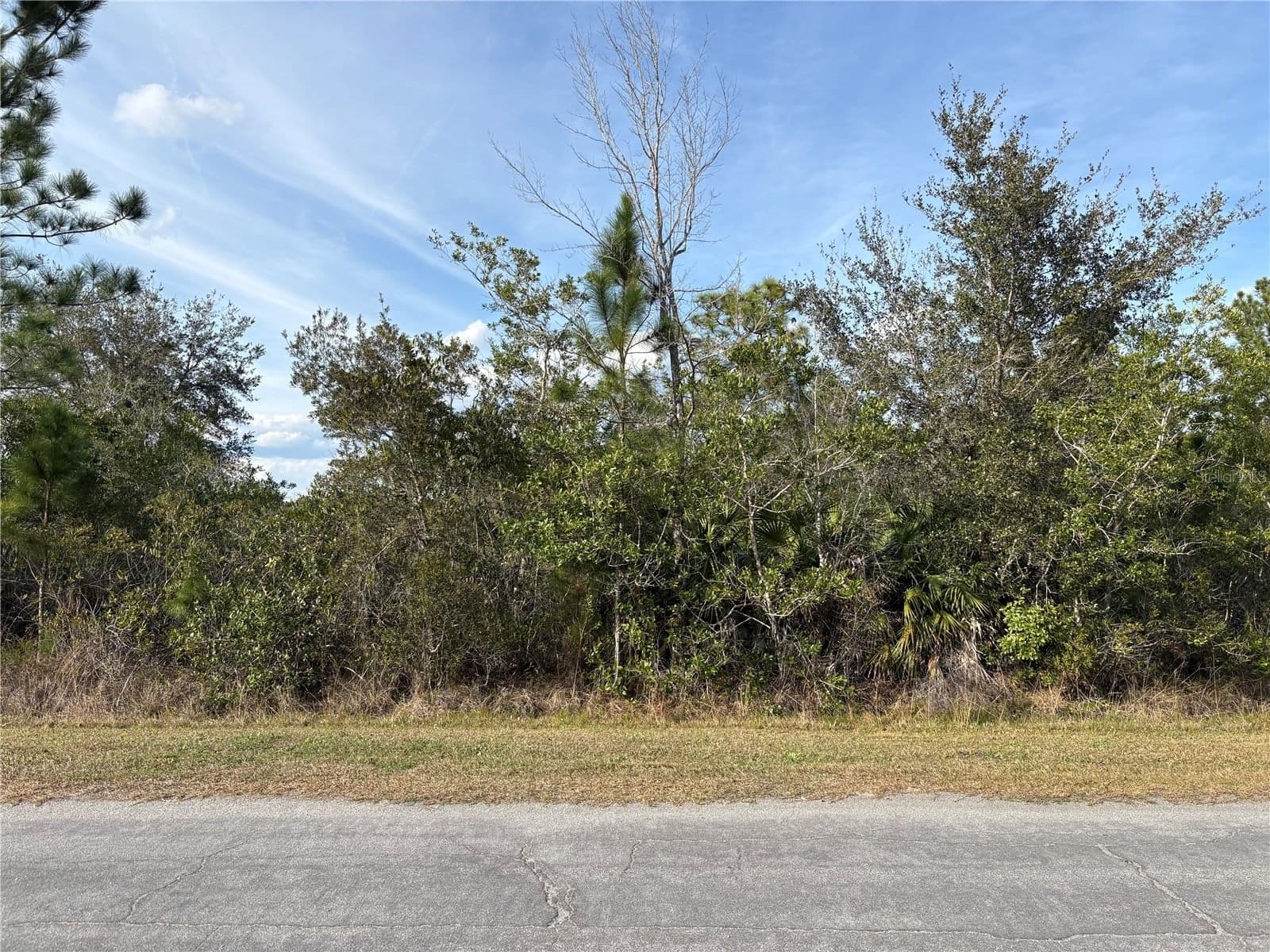 ODHAM Street, Orlando, FL 32833 3