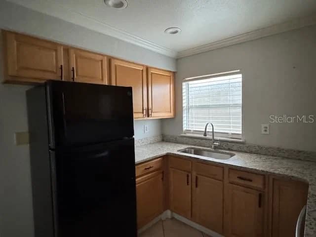 616 PALMER Street #B 5