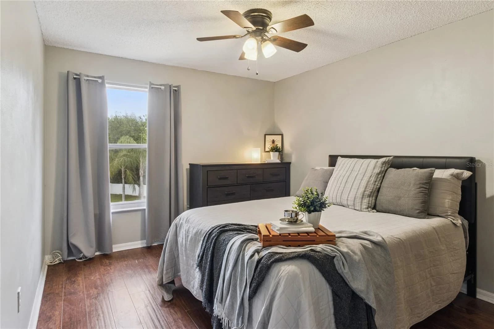 2606 ROYAL FERN 4