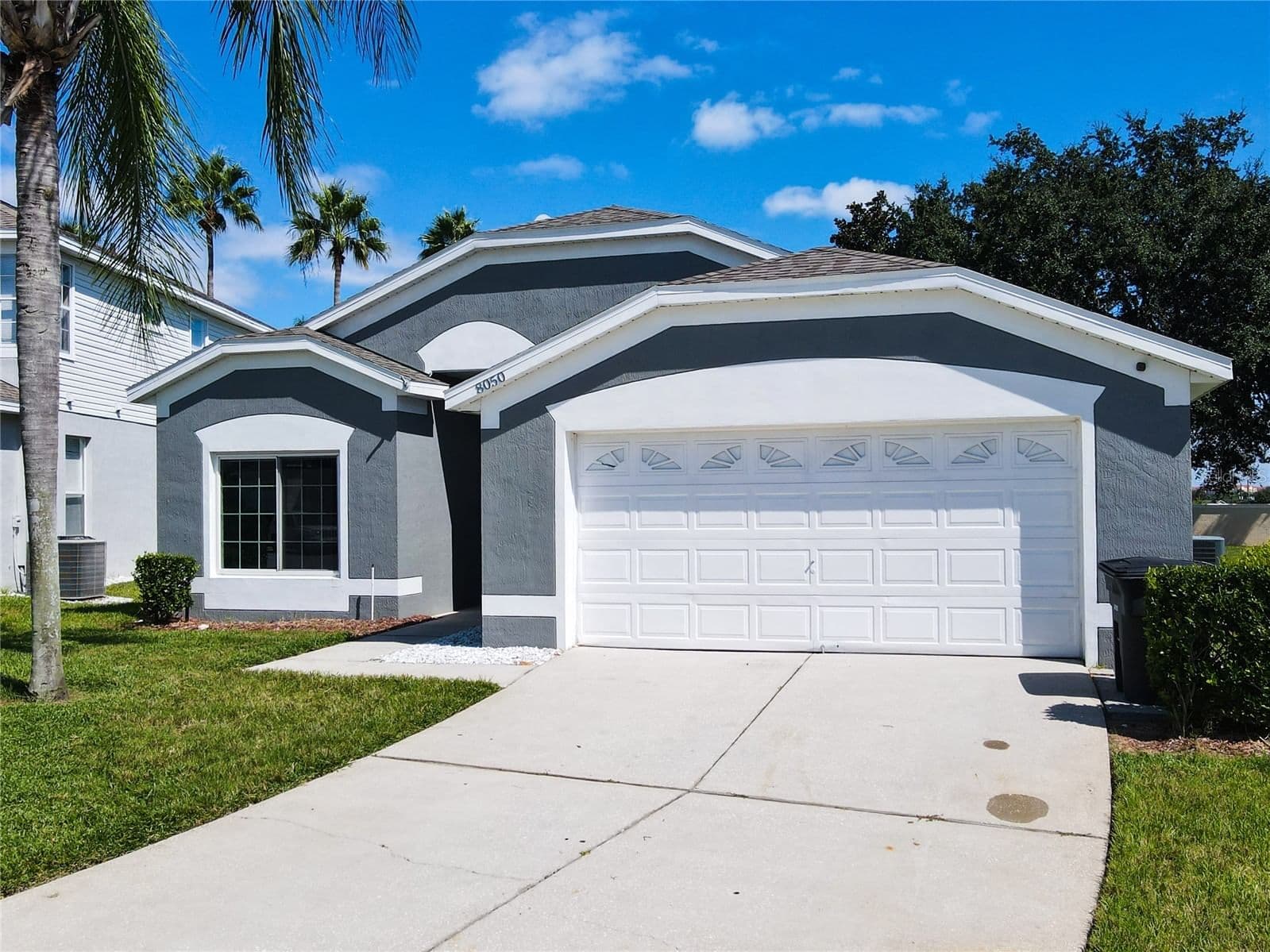 8050 KING PALM 4