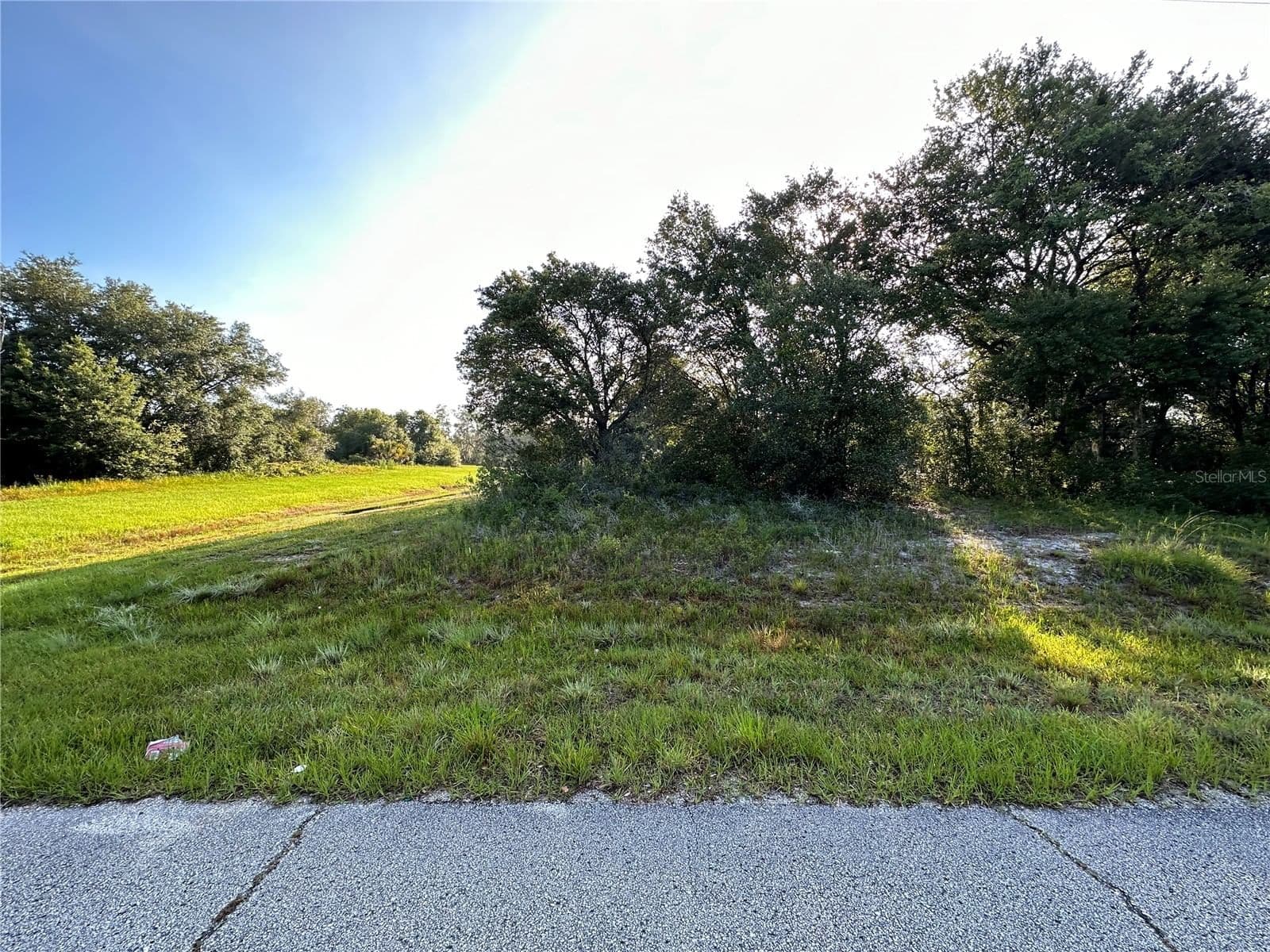 0 MEDITERRANEAN, Kissimmee, FL 34759 2