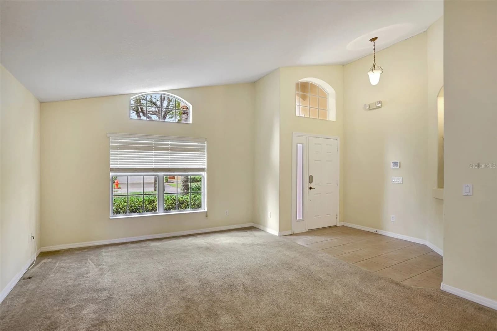 1029 ORANGE COSMOS 2