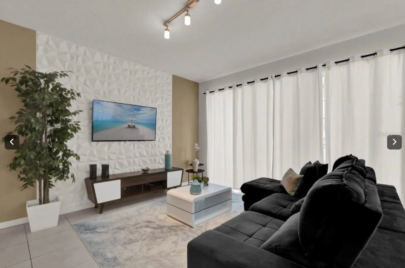 1549 CAREY PALM 5