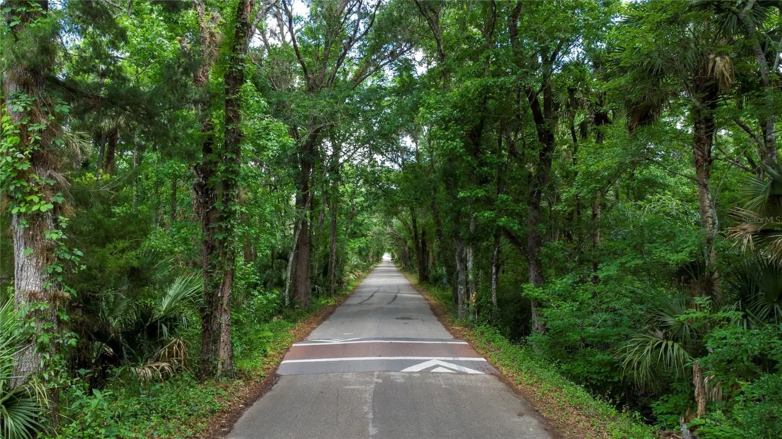 651 COUNTY ROAD 13 4