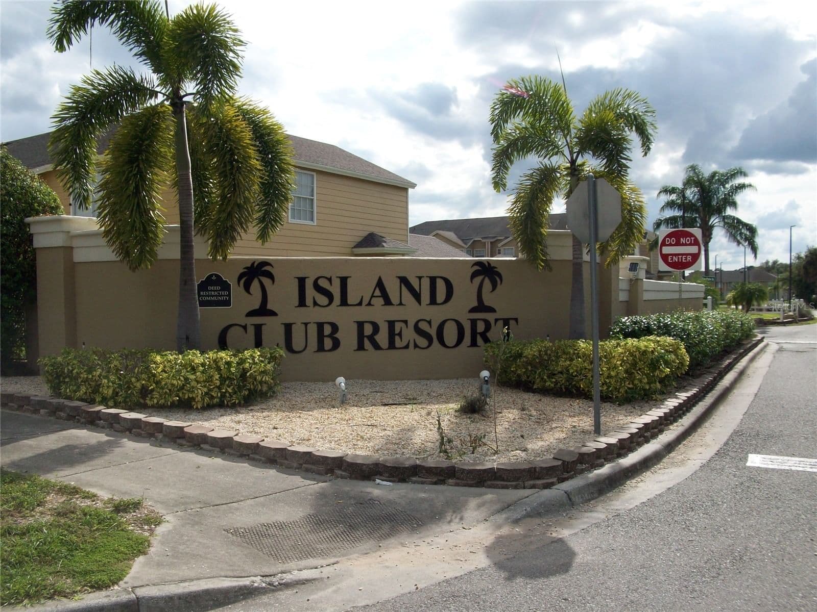 511 COCONUT PALM 2