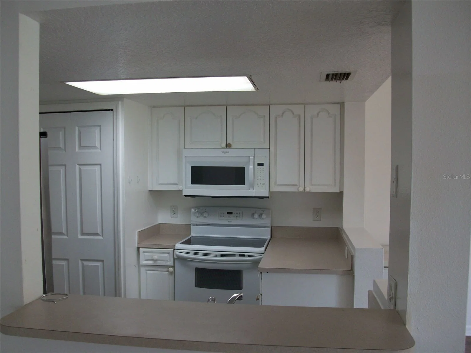 511 COCONUT PALM 4
