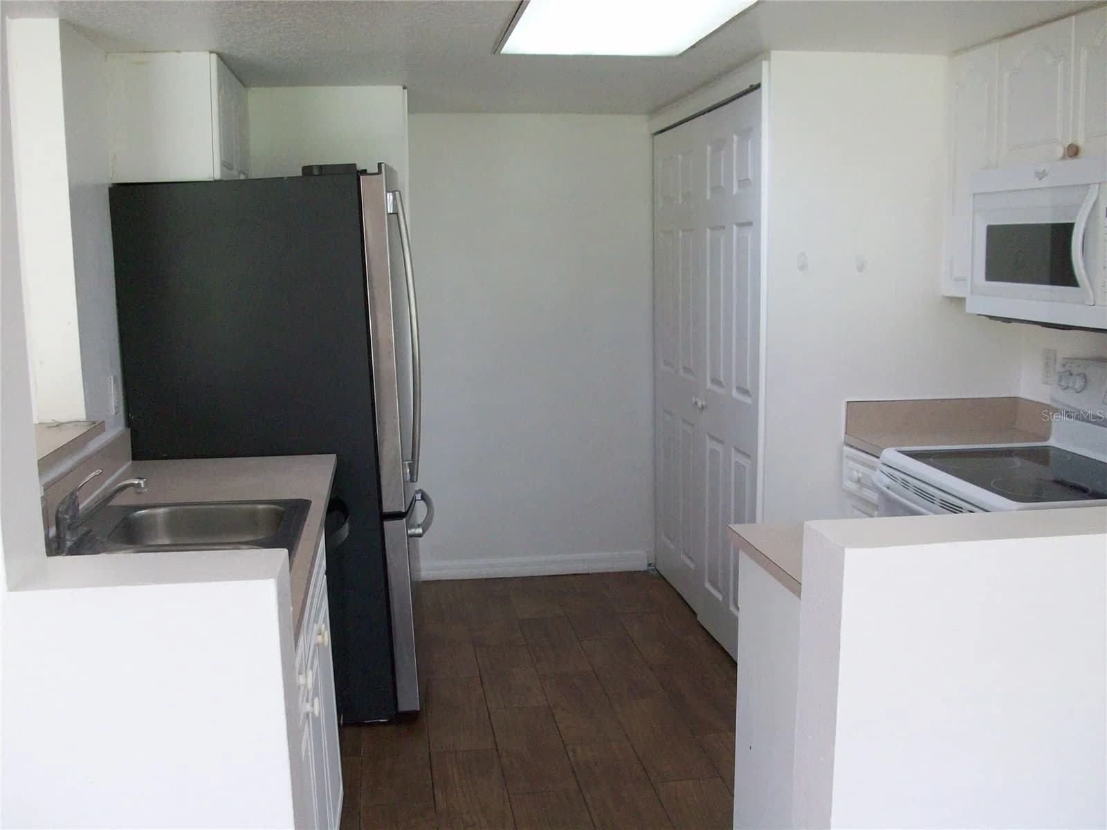 511 COCONUT PALM 5