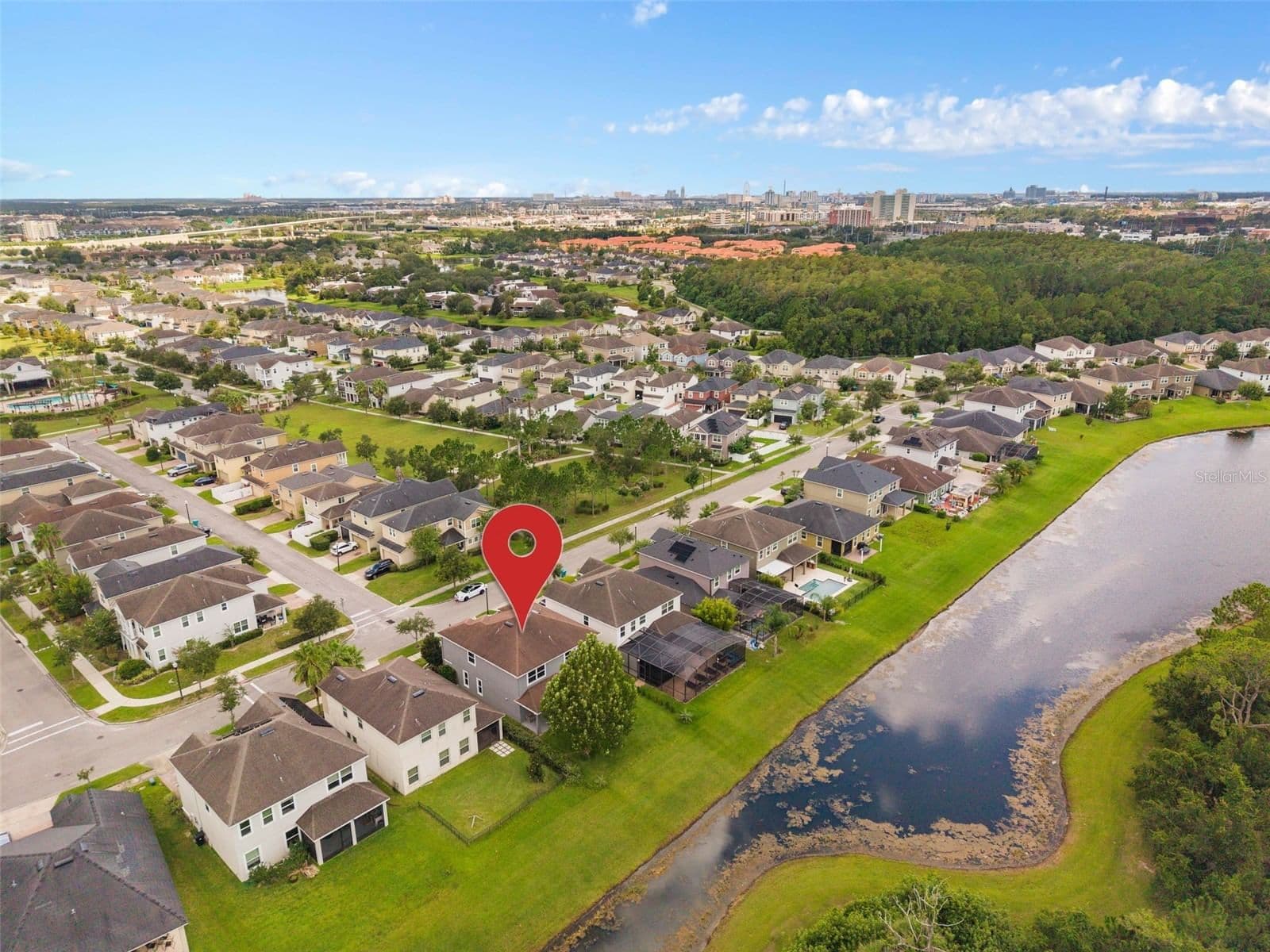 5177 DOVE TREE 4