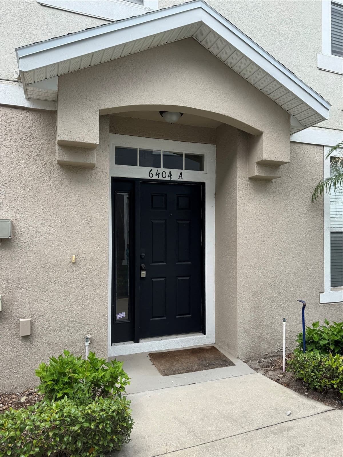 6404 GOLDENROD 5