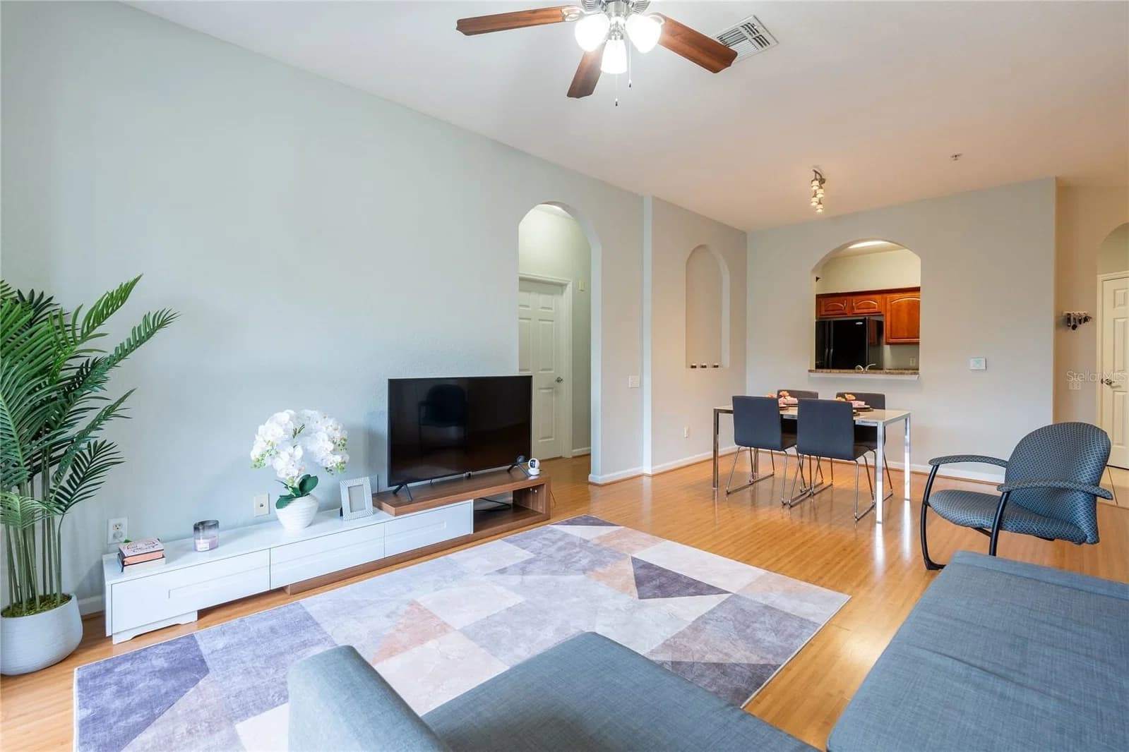 2484 SAN TECLA 5