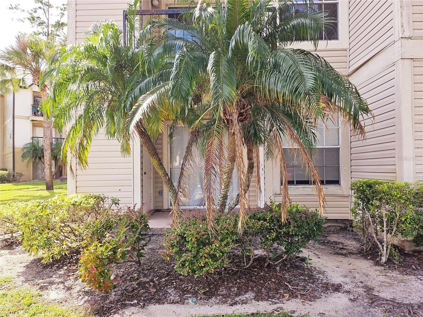 1916 LAKE ATRIUMS, Orlando, FL 32839 2