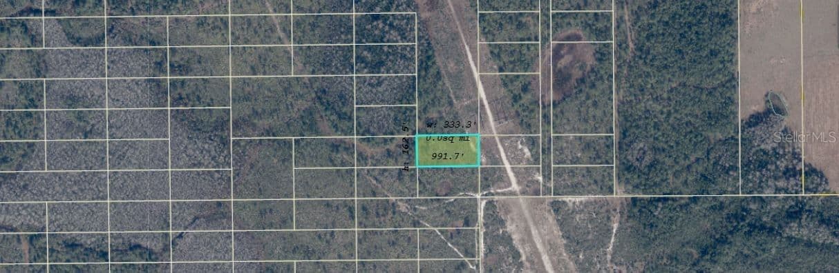 DILL, Orlando, FL 32820